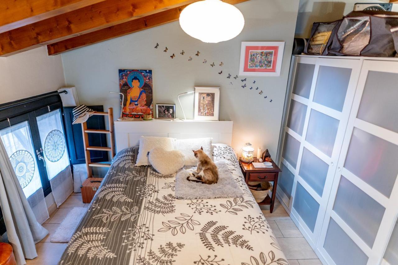 Apartament Cal Marinall Arseguel ภายนอก รูปภาพ